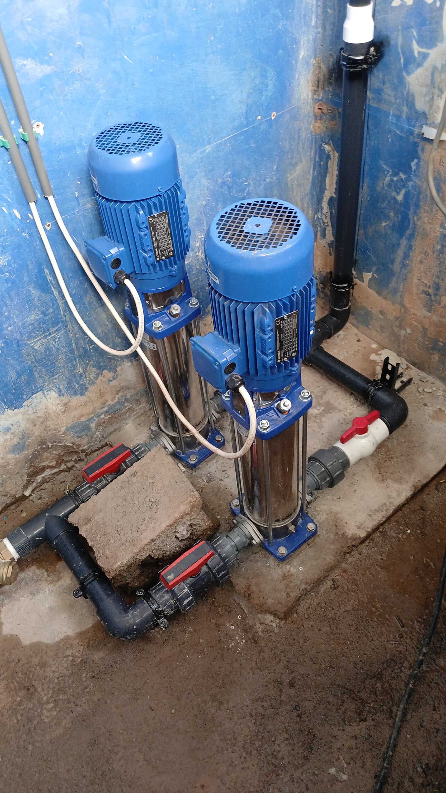 Chlorine analyzer and motive pump installation connected to black water piping and isolation valves